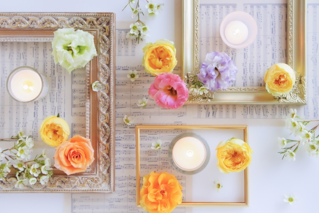 ネットで検索する猫